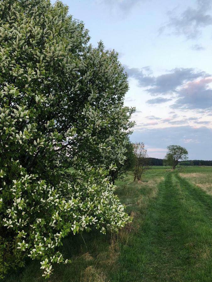 Sosnowka - Dom Wypoczynkowy Na Kurpiach Piasutno Gietki エクステリア 写真